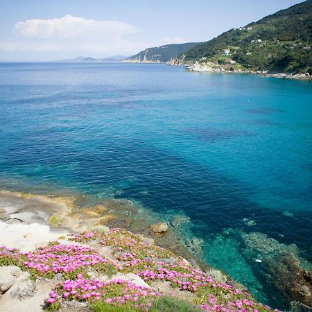 Hotel Gallo Nero SantʼAndrea 외부 사진