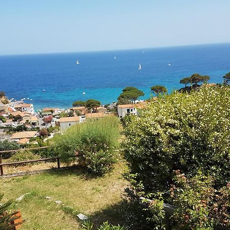 Hotel Gallo Nero SantʼAndrea 외부 사진