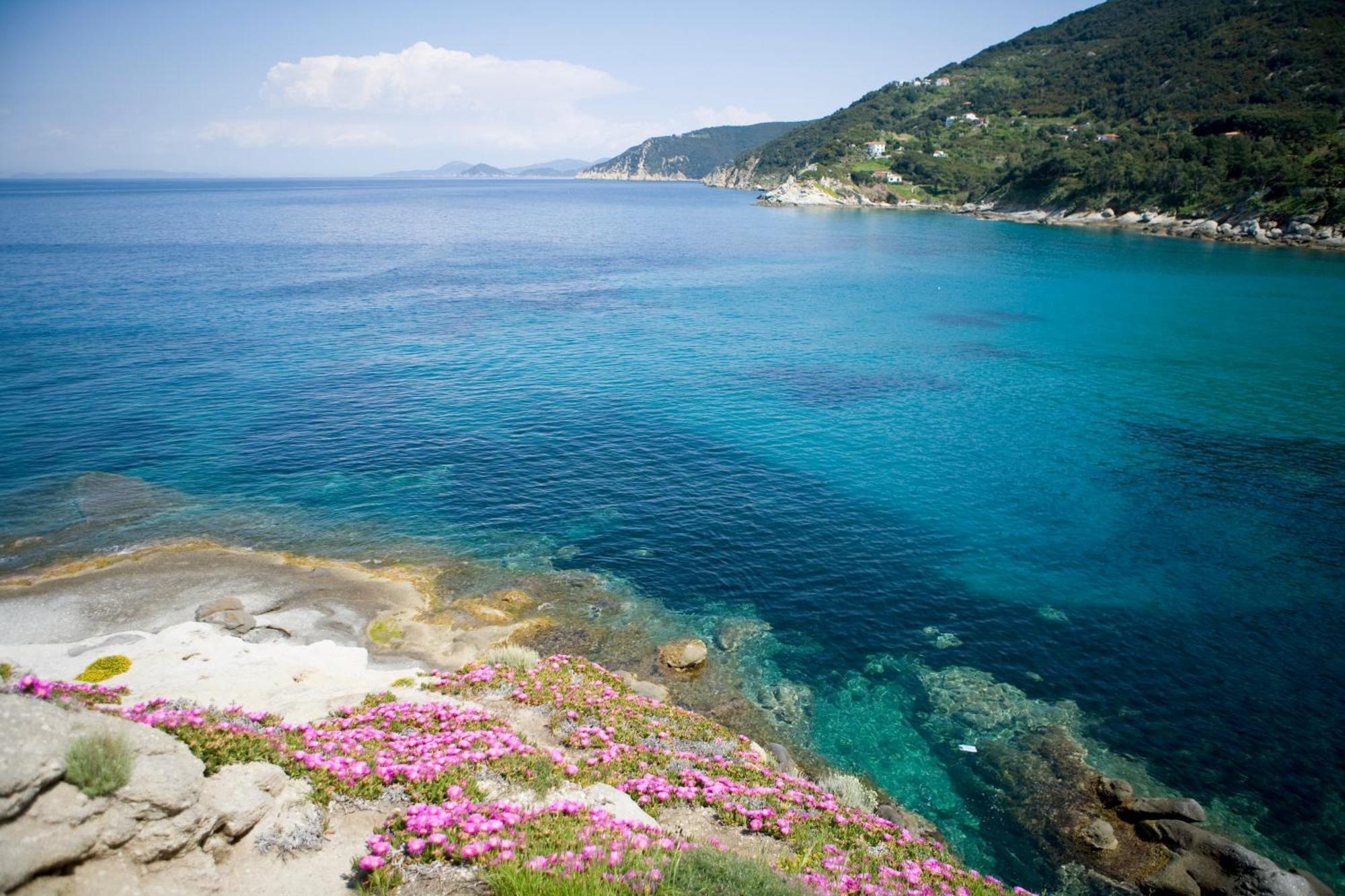 Hotel Gallo Nero SantʼAndrea 외부 사진