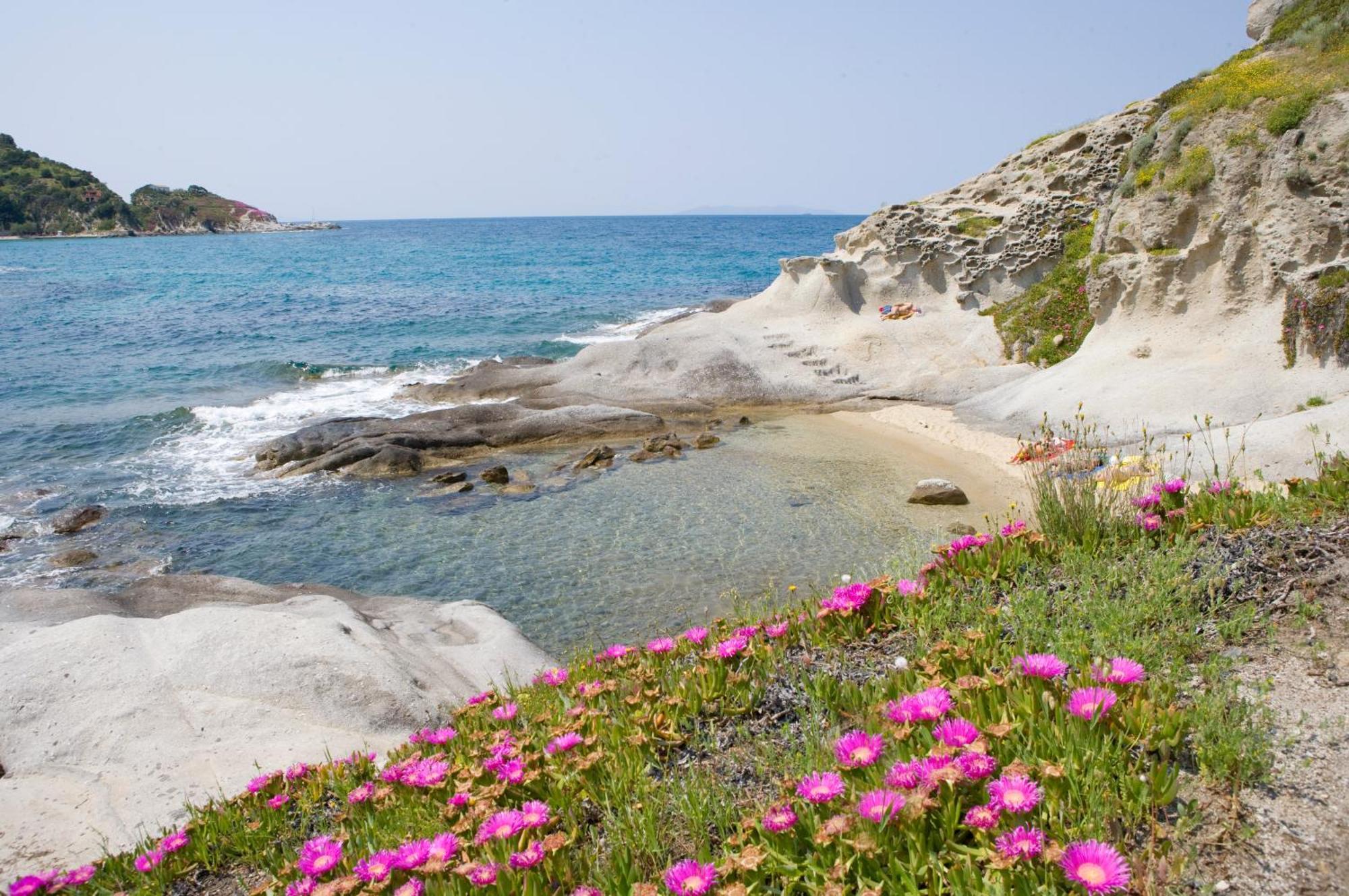 Hotel Gallo Nero SantʼAndrea 외부 사진